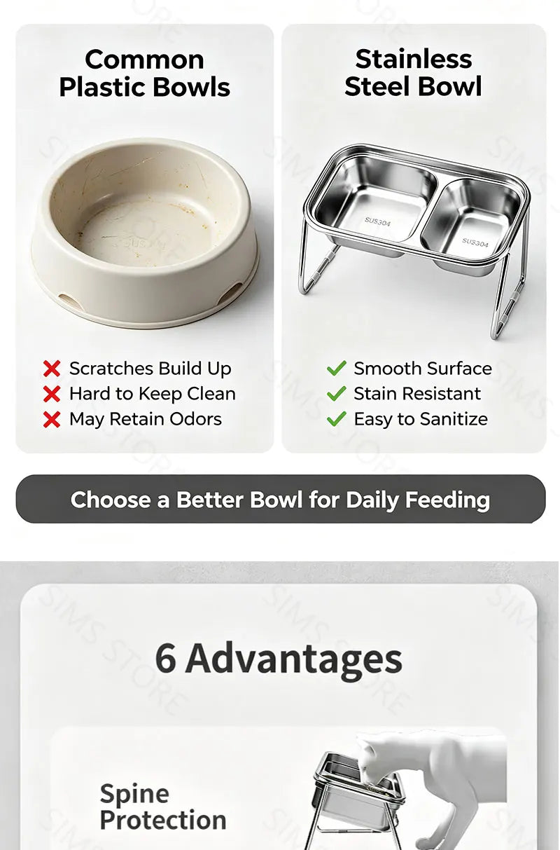 Elevated Stainless Steel Cat Food & Water Bowl with Stand