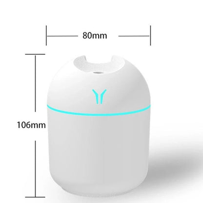 250ml Mini USB Humidifier with LED Ligth