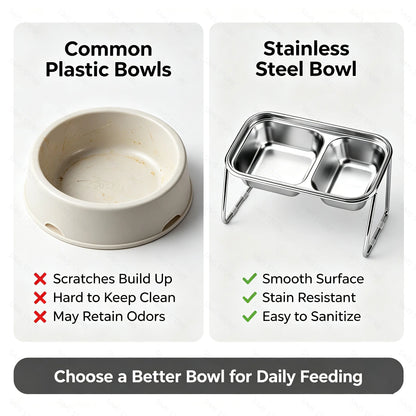 Elevated Stainless Steel Cat Food & Water Bowl with Stand